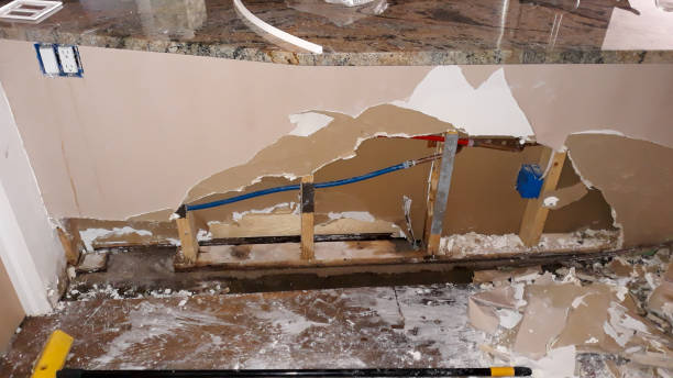 Best Water damage contractors near me  in Lake Shastina, CA