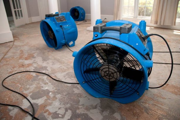 Sewage cleanup and water damage restoration in Lake Shastina, CA