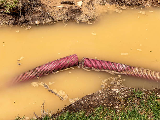  Lake Shastina, CA Water damage restoration Pros