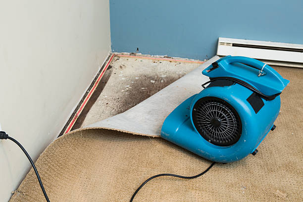 Local water damage restoration in Lake Shastina, CA